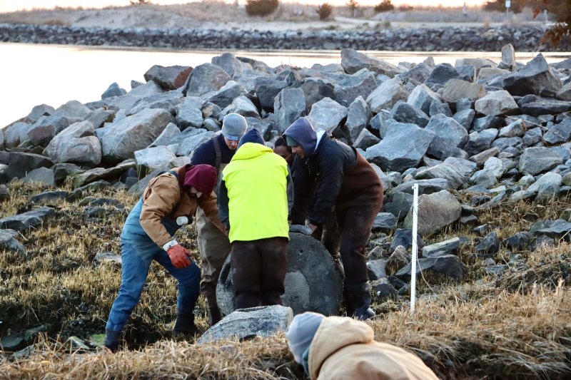 Members of a team from the University of Delaware Lewes campus roll a large, concrete ball, called an oyster castle, down an embankment and into the water March 25. They are building a living shoreline on a tiny spit of land off Pilottown Road. The structure is designed to protect the shoreline from erosion caused by rising sea levels. BILL SHULL PHOTOS